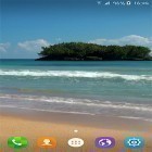 Oltre sfondi animati su Android Lion by Live Wallpapers Free, scarica apk gratis Beach by Byte Mobile.