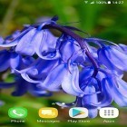 Oltre sfondi animati su Android Black clock, scarica apk gratis Beautiful spring flowers.