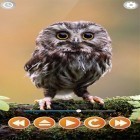 Oltre sfondi animati su Android Winter village 3D, scarica apk gratis Bird sounds.