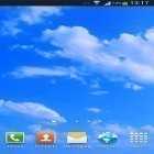 Oltre sfondi animati su Android Colorful tulips, scarica apk gratis Blue sky.