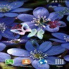 Oltre sfondi animati su Android Roses by Live Wallpaper HD 3D, scarica apk gratis Butterfly by Live Wallpapers 3D.