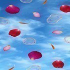 Oltre sfondi animati su Android Luminous jellyfish HD, scarica apk gratis Clouds.