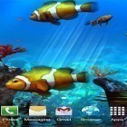 Oltre sfondi animati su Android Fireflies, scarica apk gratis Clownfish aquarium 3D.