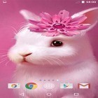 Oltre sfondi animati su Android Girl and rainy day, scarica apk gratis Cute animals by MISVI Apps for Your Phone.
