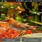 Scaricare Cute birds su Android, e anche altri sfondi animati gratuiti per Samsung Galaxy Ace.
