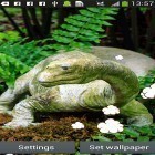 Oltre sfondi animati su Android Space clouds 3D, scarica apk gratis Dinosaur by Latest Live Wallpapers.