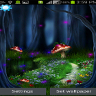 Scaricare Fantasy magic touch su Android, e anche altri sfondi animati gratuiti per Sony Xperia M2.