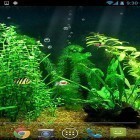 Oltre sfondi animati su Android Galactic core, scarica apk gratis Fishbowl HD.