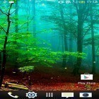 Oltre sfondi animati su Android Raindrop, scarica apk gratis Forest by Wallpapers and Backgrounds Live.