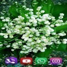 Oltre sfondi animati su Android Ocean by Free Wallpapers and Backgrounds, scarica apk gratis Forest lilies.