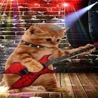 Oltre sfondi animati su Android Yang the cat, scarica apk gratis Funny pets: dancing and singing.