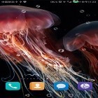 Oltre sfondi animati su Android Dog licks screen, scarica apk gratis Jellyfish by live wallpaper HongKong.