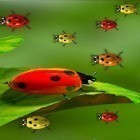 Oltre sfondi animati su Android Lilies of the valley, scarica apk gratis Ladybugs by 3D HD Moving Live Wallpapers Magic Touch Clocks.
