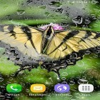 Oltre sfondi animati su Android Night Nature, scarica apk gratis Macro butterflies.