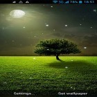 Oltre sfondi animati su Android Bullet, scarica apk gratis Moonlight by Live Wallpapers Ultra.