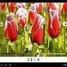 Oltre sfondi animati su Android Moonlight by Happy live wallpapers, scarica apk gratis My flower 3D.