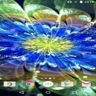 Oltre sfondi animati su Android Space 3D, scarica apk gratis Neon flowers by Phoenix Live Wallpapers.