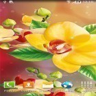 Oltre sfondi animati su Android Inks in Water, scarica apk gratis Orchids by BlackBird Wallpapers.