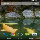 Oltre sfondi animati su Android Forest by Pro live wallpapers, scarica apk gratis Pond with koi by Karaso.