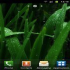 Oltre sfondi animati su Android Screen speaker, scarica apk gratis Rain.