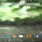 Oltre sfondi animati su Android Fresh leaves, scarica apk gratis Real rain.