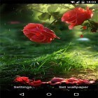 Oltre sfondi animati su Android Swans and lilies, scarica apk gratis Red rose by DynamicArt Creator.