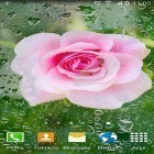 Oltre sfondi animati su Android Lost waterfall, scarica apk gratis Roses by Live Wallpapers 3D.