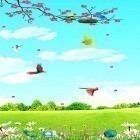Oltre sfondi animati su Android Colorful balls, scarica apk gratis Sky birds.