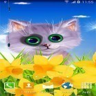 Scaricare sfondi in movimento Spring cat per un desktop di telefoni e tablet.