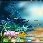 Oltre sfondi animati su Android My 3D fish, scarica apk gratis Underwater world by orchid.