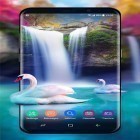 Oltre sfondi animati su Android Forest by Pro live wallpapers, scarica apk gratis Waterfall and swan.