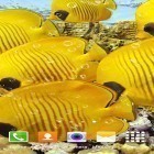 Oltre sfondi animati su Android Butterfly, scarica apk gratis Aquarium by Top Live Wallpapers.