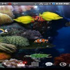 Oltre sfondi animati su Android Space HD, scarica apk gratis Aquarium.