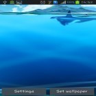 Oltre sfondi animati su Android Crocodile eyes, scarica apk gratis Asus: My ocean.