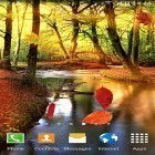 Scaricare Autumn forest su Android, e anche altri sfondi animati gratuiti per Samsung Galaxy Core Advance.