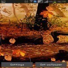 Oltre sfondi animati su Android Earth HD deluxe edition, scarica apk gratis Autumn rain.