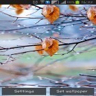 Scaricare Autumn raindrops su Android, e anche altri sfondi animati gratuiti per Samsung Galaxy Note 8.0.