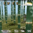 Oltre sfondi animati su Android Spring garden, scarica apk gratis Bamboo grove 3D.