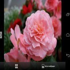 Oltre sfondi animati su Android Tunnel 3D by Amax lwps, scarica apk gratis Beautiful flowers.