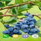 Oltre sfondi animati su Android Planet by Amazing Live Wallpaperss, scarica apk gratis Berries.