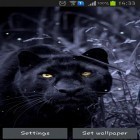 Scaricare Black panther su Android, e anche altri sfondi animati gratuiti per Samsung Galaxy Note 8.0.