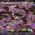Oltre sfondi animati su Android Waterfall 3D by World Live Wallpaper, scarica apk gratis Blossom.