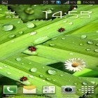 Oltre sfondi animati su Android Snowfall by Top Live Wallpapers Free, scarica apk gratis Camomiles and ladybugs.
