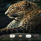 Oltre sfondi animati su Android Sunset spring, scarica apk gratis Cheetah.