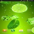 Oltre sfondi animati su Android Neon triangle 3D, scarica apk gratis Cocktails and drinks.