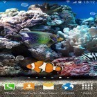 Oltre sfondi animati su Android Airy light, scarica apk gratis Coral fish 3D.