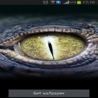 Oltre sfondi animati su Android Blue skies, scarica apk gratis Crocodile eyes.