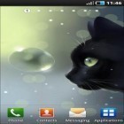 Oltre sfondi animati su Android Geometry music, scarica apk gratis Curious cat.