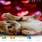Oltre sfondi animati su Android Frosty the kitten, scarica apk gratis Cute animals by Live wallpapers 3D.