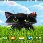 Oltre sfondi animati su Android Dynamical ripples, scarica apk gratis Cute kitten.